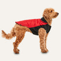 Goo-eez Mock Neck Signature Wrap Jacket Red for Dogs Standing Tall