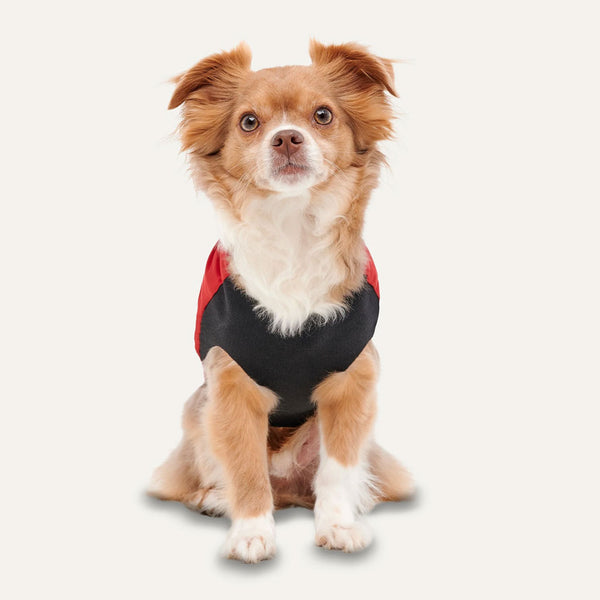 Goo-eez Mock Neck Signature Wrap Jacket Red for Dogs Frotn View