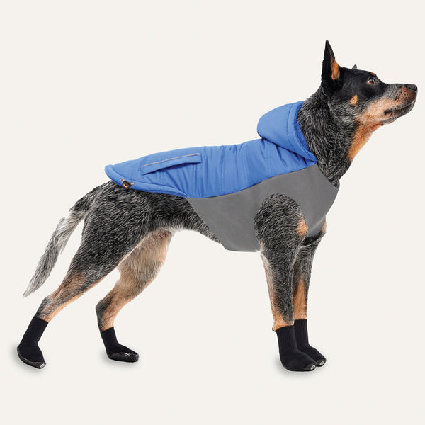 Goo-eez Hooded Signature Winter Jacket for Dogs Royal Blue standing