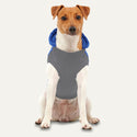 Goo-eez Hooded Signature Winter Jacket for Dogs Royal Blue front side