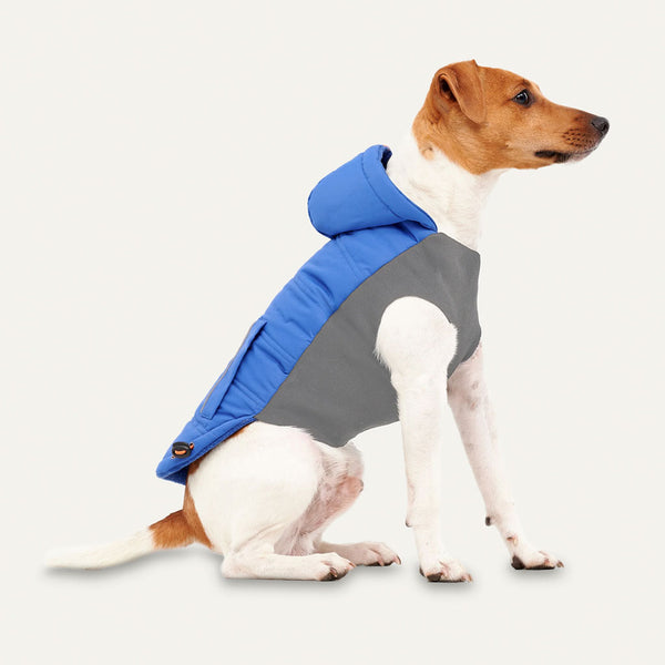 Goo-eez Hooded Signature Winter Jacket for Dogs Royal Blue sideway