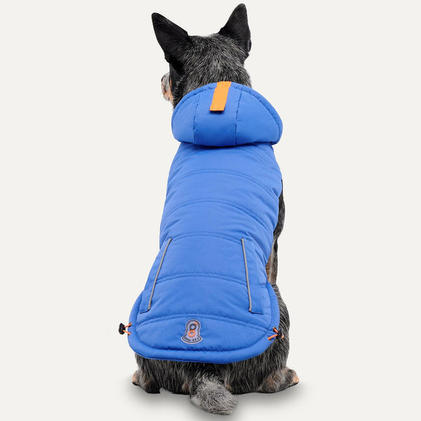 Goo-eez Hooded Signature Winter Jacket for Dogs Royal Blue