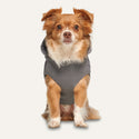 Goo-eez Hooded Full Body Snowsuit for Dogs