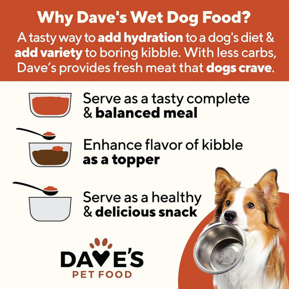 Advertisement for Dave's Pet Food featuring a dog holding a bowl with text about wet dog food benefits.