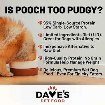 Advertisement for Dave's Pet Food featuring a dog and text about the product benefits.