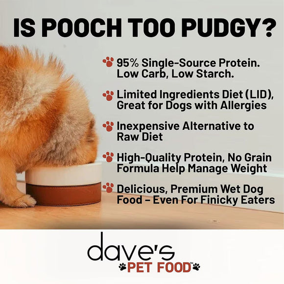 Advertisement for Dave's Pet Food featuring a dog and text about the pet food's benefits.