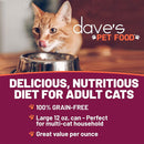 Cat looking into a bowl with 'dave's PET FOOD' branding and promotional text about their cat food.