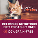 Cat drinking from a bowl with 'dave's Pet Food' branding and text about their cat food.