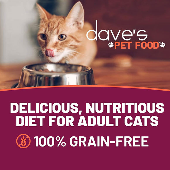 Cat drinking from a bowl with 'dave's Pet Food' branding and text about their cat food.