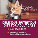 Cat looking into a bowl with 'dave's PET FOOD' branding and promotional text.