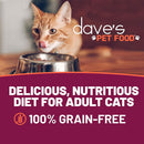 Cat looking into a bowl with 'dave's PET FOOD' branding and promotional text.