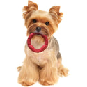 Ethical Pet Spot Barrett Tough Ring Dog Toy