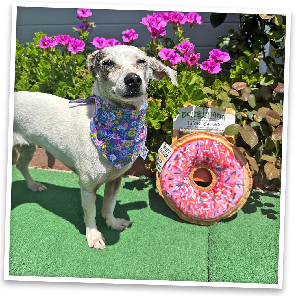 Doggijuana Tuffer Chewer Refillable Juananip Donut Tough Squeaky Dog Plush Toy