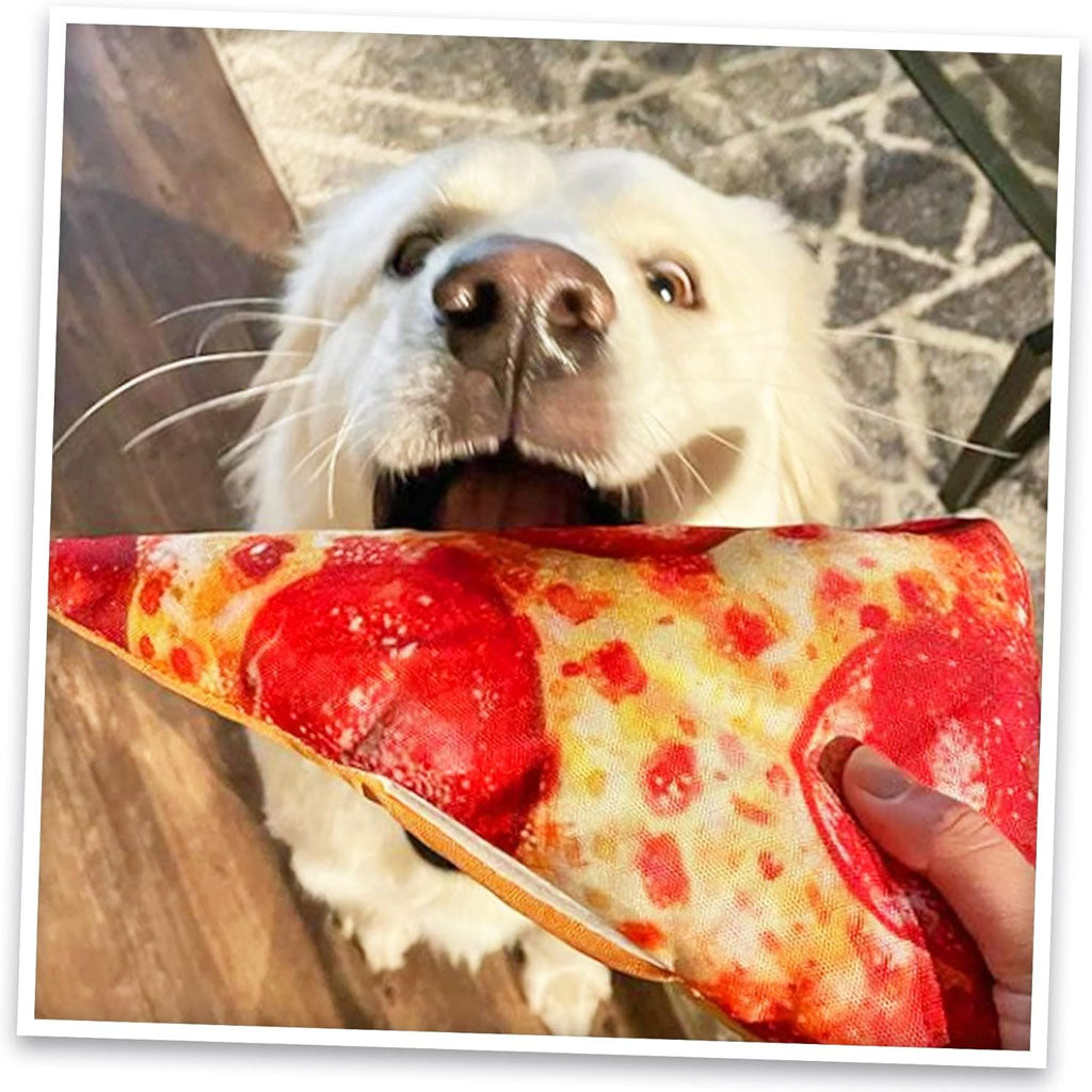 Doggijuana Get the Munchies Refillable Juananip Pizza Squeaky Plush Dog Toy