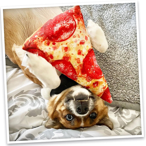 Doggijuana Get the Munchies Refillable Juananip Pizza Squeaky Plush Dog Toy