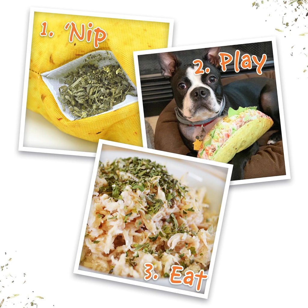 Doggijuana Munchies Taco Toy – Refillable & Squeaky