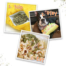 Doggijuana Get the Munchies Refillable Juananip Taco Squeaky Plush Dog Toy-5