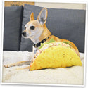 Doggijuana Get the Munchies Refillable Juananip Taco Squeaky Plush Dog Toy