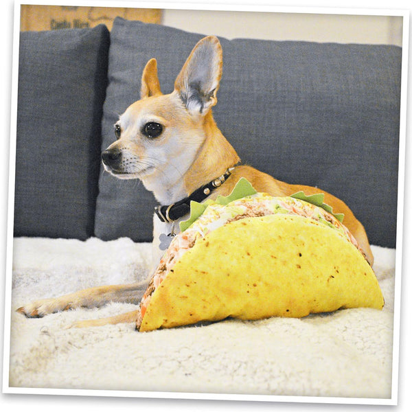 Doggijuana Get the Munchies Refillable Juananip Taco Squeaky Plush Dog Toy