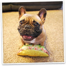 Doggijuana Get the Munchies Refillable Juananip Taco Squeaky Plush Dog Toy-7