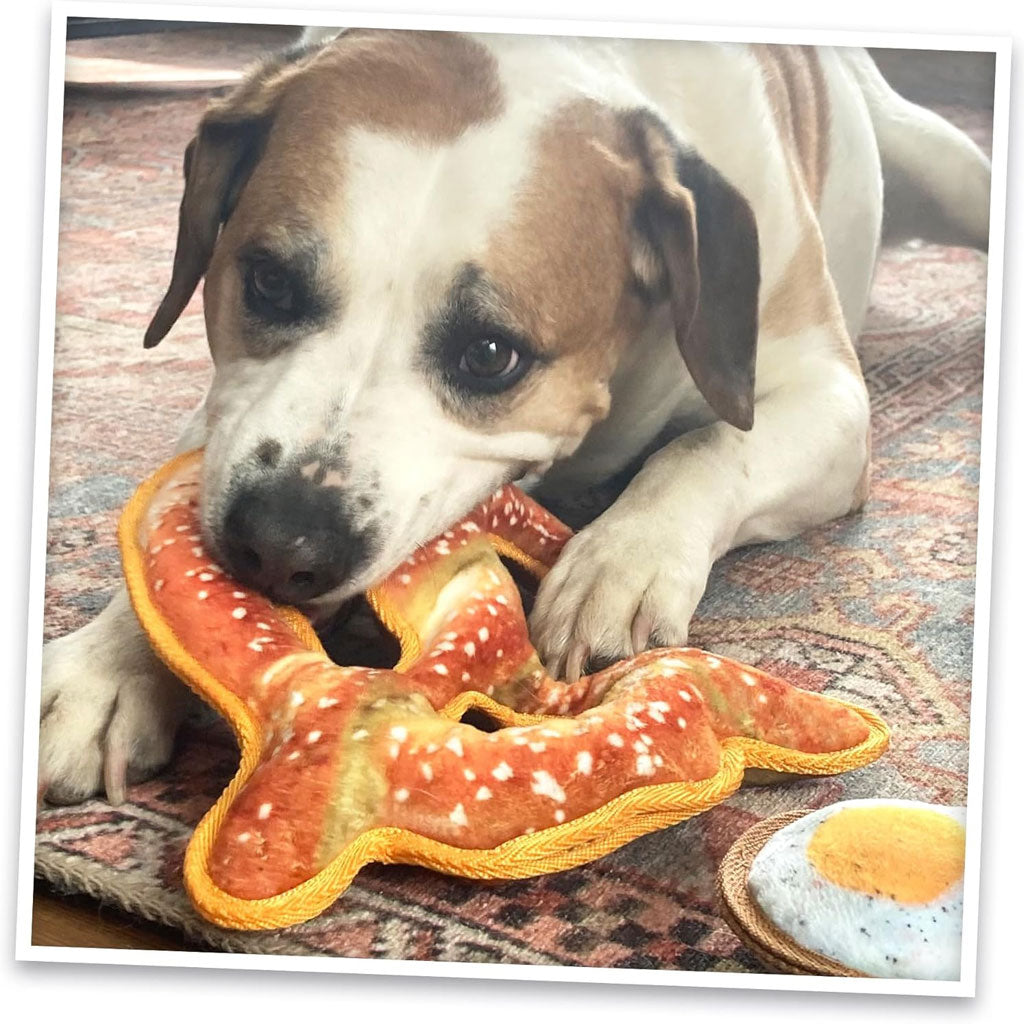 Doggijuana Pretzel Dog Toy: Durable & Squeaky Fun