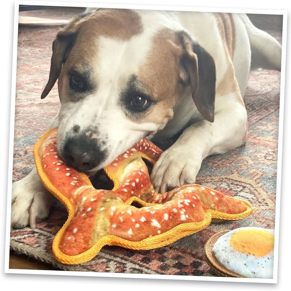 Doggijuana Tuffer Chewer Refillable Juananip Pretzel Tough Squeaky Dog Plush Toy