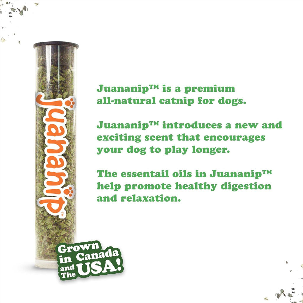 Supreme Pizza Dog Toy by Doggijuana: Tough & Refillable