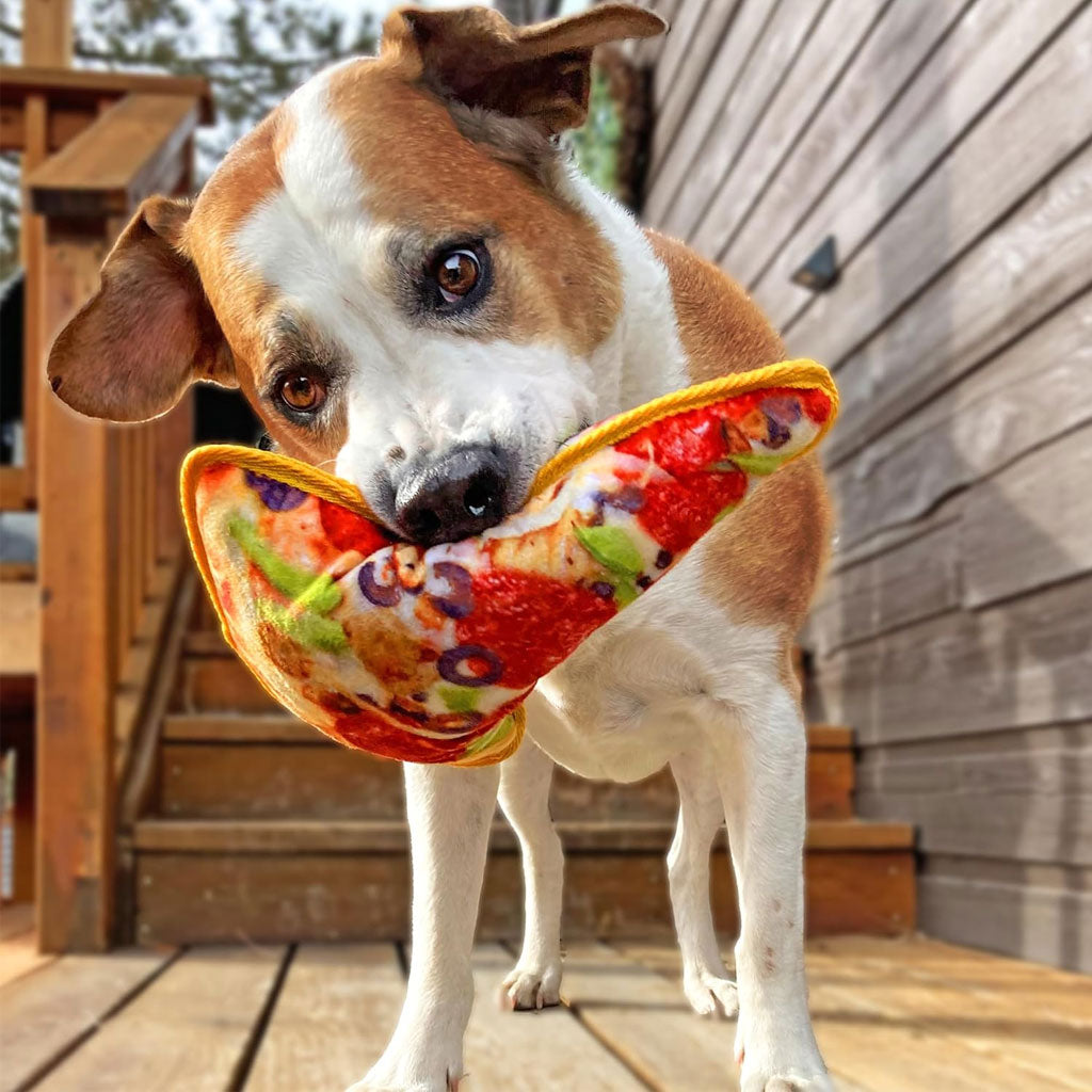 Supreme Pizza Dog Toy by Doggijuana: Tough & Refillable