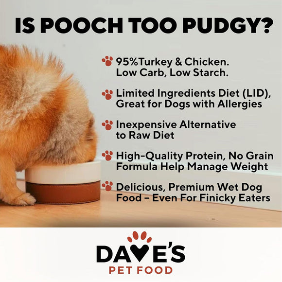 Advertisement for Dave's Pet Food featuring a dog and text about the pet food's benefits.