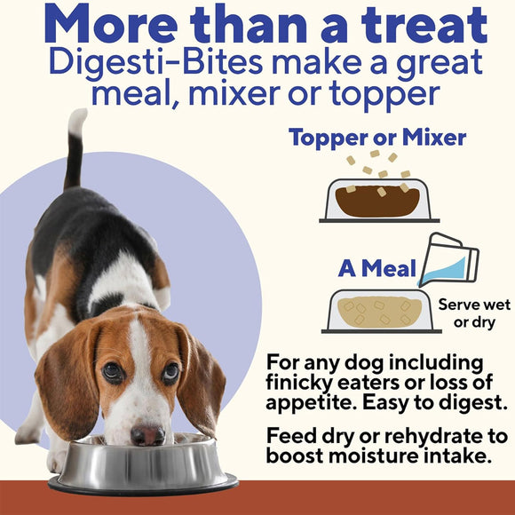Dog looking at a bowl with text about Digesti-Bites being a great meal, mixer, or topper for dogs.
