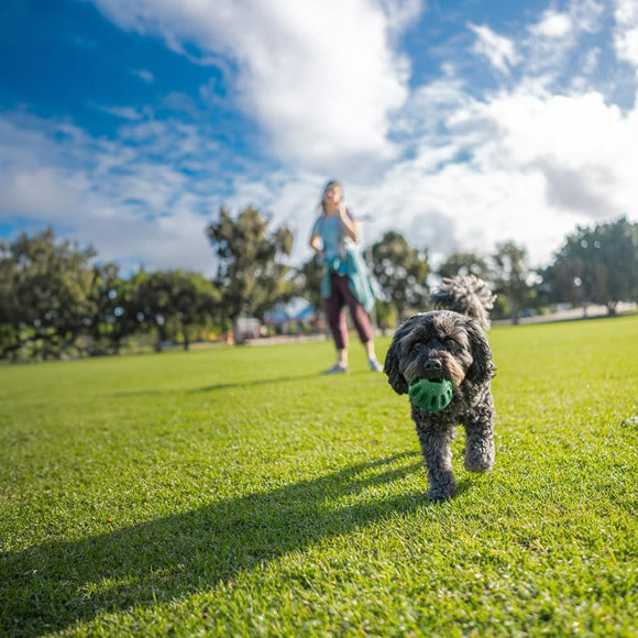 Ark Naturals Brushless Toothpaste Play Occupying Dental Chews 4-in-1 for Dogs