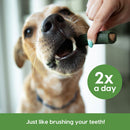 Ark Naturals Brushless Toothpaste Dental Chews 4-in-1 for Large Dogs