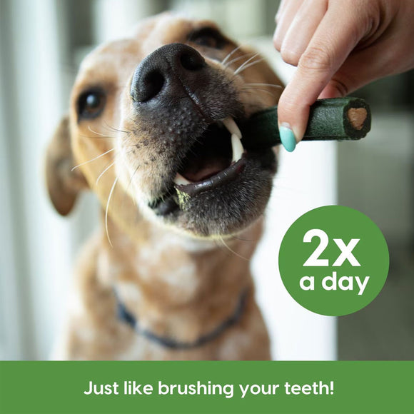 Ark Naturals Brushless Toothpaste Dental Chews 4-in-1 for Large Dogs