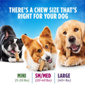 DentaLife Daily Oral Care Large Dental Dog Treats sizes