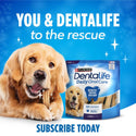 DentaLife Daily Oral Care Large Dental Dog Treats benefits