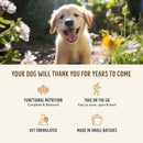 Happy puppy in a garden with text about dog food benefits on a white background