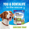 DentaLife ActivFresh Daily Oral Care Small/Medium subsrcribe