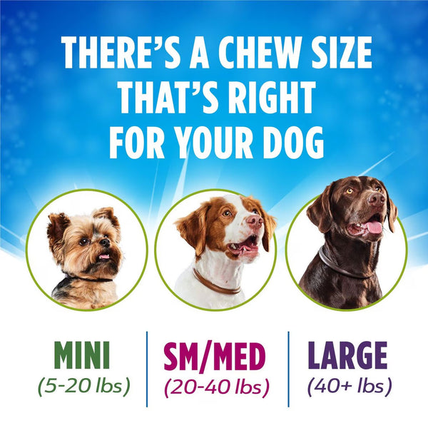 DentaLife ActivFresh Daily Mini Dental Dog Treats sizes