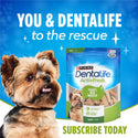DentaLife ActivFresh Daily Mini Dental Dog Treats subscribe