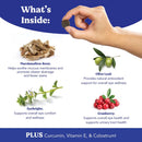 Hand holding a supplement with illustrations of herbs and text describing their benefits on a blue and white background.