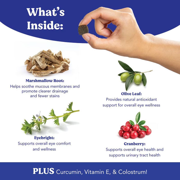 Hand holding a supplement with illustrations of herbs and text describing their benefits on a blue and white background.