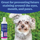 Dog with tear stains and Angels Eyes tear stain solution bottle on grass
