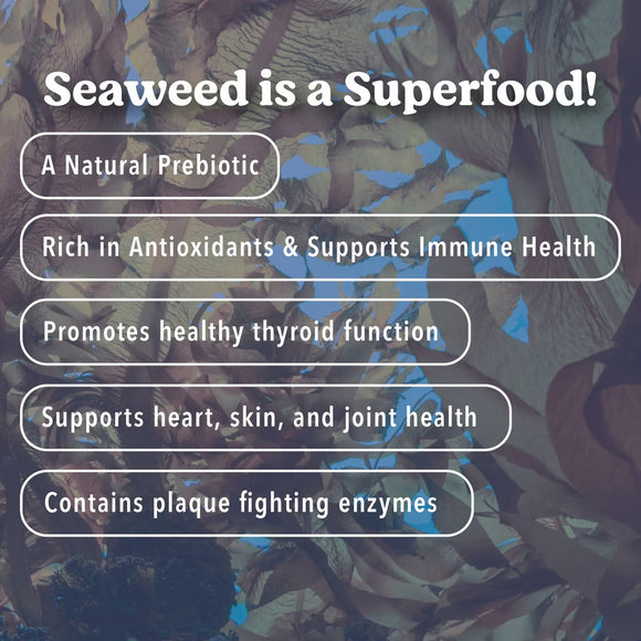 Seaweed with text highlighting its health benefits on a blurred seaweed background