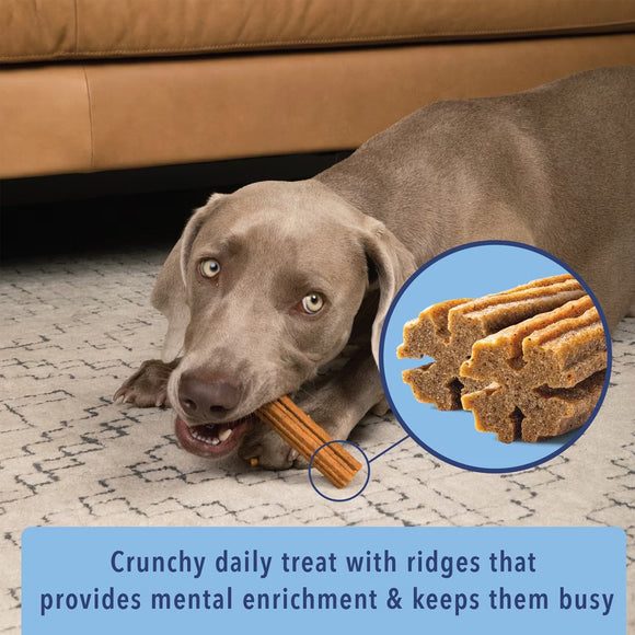 Dog chewing on a treat with an inset of the treat and text about its benefits.
