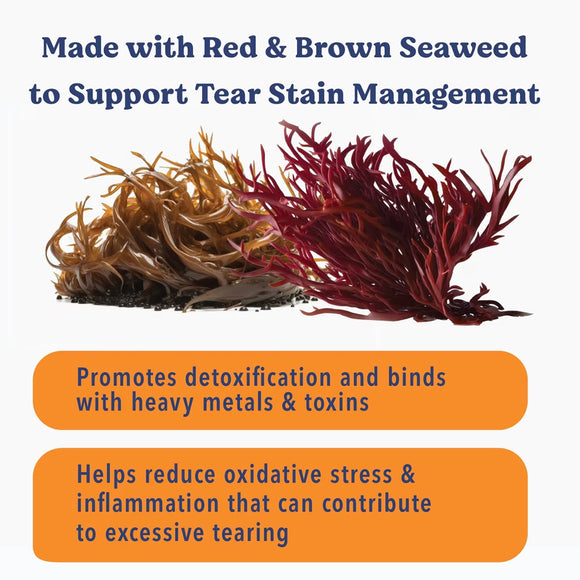 Red and brown seaweed with text about tear stain management and health benefits on a white background.