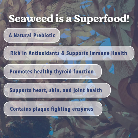 Seaweed with text highlighting its health benefits on a blurred natural background