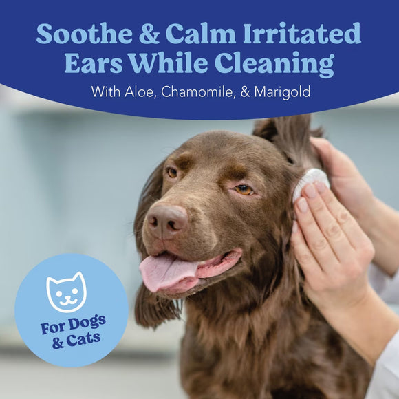 Dog being cleaned with a product for irritated ears, featuring aloe, chamomile, and marigold.