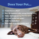 Dog lying on a bed with ear issues text overlay