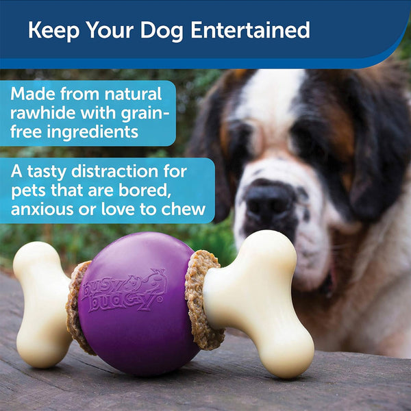 Petsafe Busy Buddy Bouncy Bone Treat Dispenser Dog Chew Toy