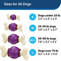 Petsafe Busy Buddy Bouncy Bone Treat Dispenser Dog Chew Toy